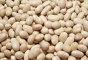 White beans, calcium for parrots.